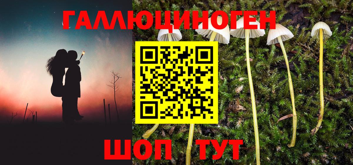 Тара  Галлюциногенные грибы MAGIC MUSHROOMS  Вход с VPN 