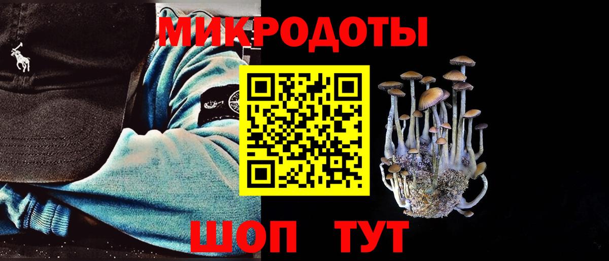 Галлюциногенные грибы Psilocybe Тара
